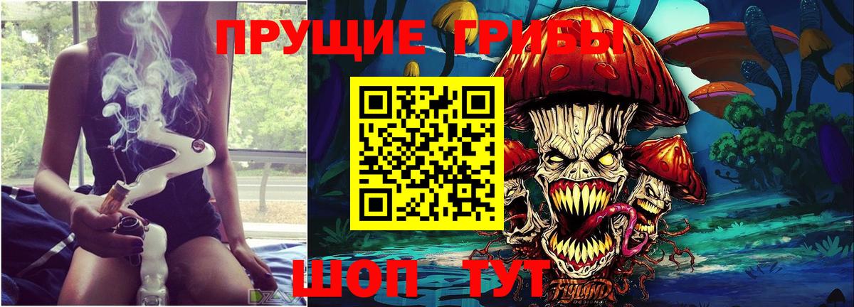 Галлюциногенные грибы Psilocybe Мценск